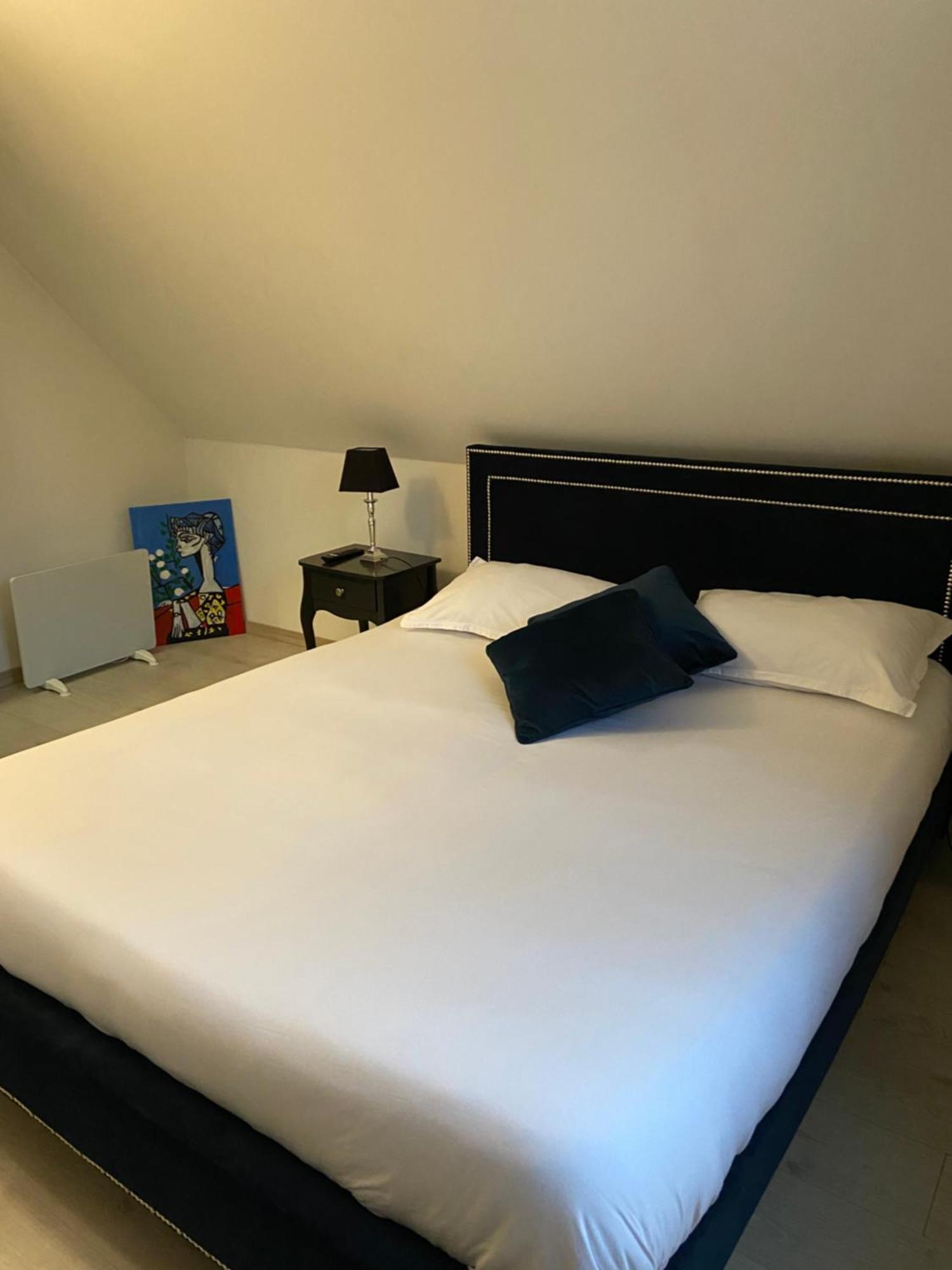 La Champenoise Apartment Troyes Bagian luar foto